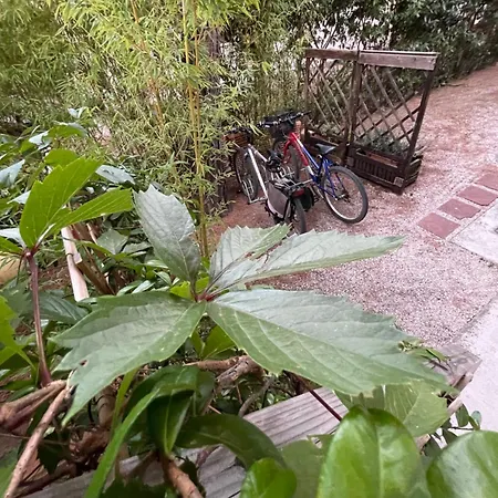 Il Fenicottero Bed and breakfast