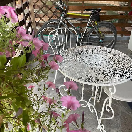 Bed and breakfast Il Fenicottero *