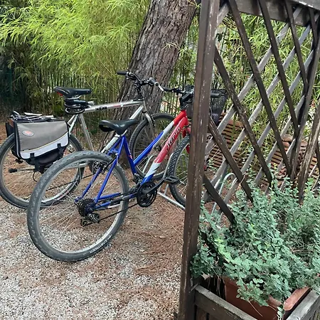 Il Fenicottero Cervia