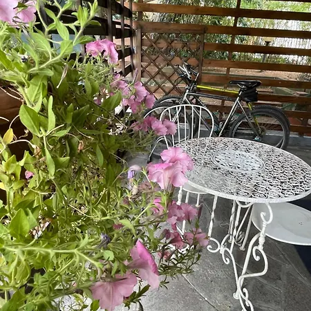 Bed and breakfast Il Fenicottero