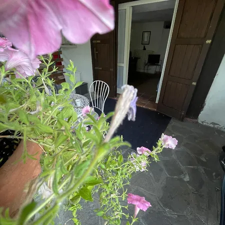 Il Fenicottero Bed and breakfast 4*