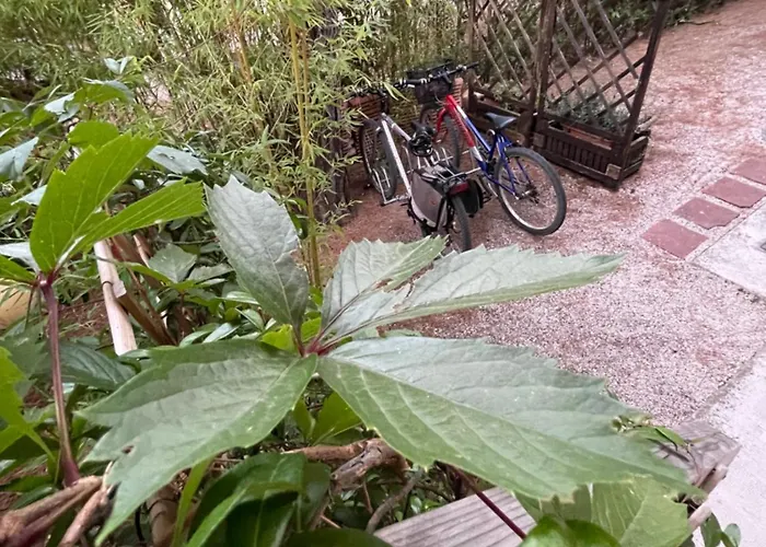 Il Fenicottero Bed & Breakfast