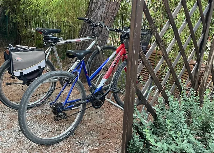 Il Fenicottero Cervia